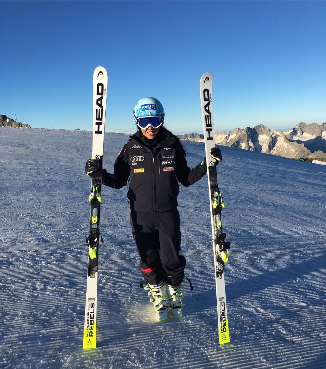 Pichler2Alpes