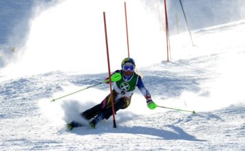Le squadre zonali del Comitato FISI Alto Adige